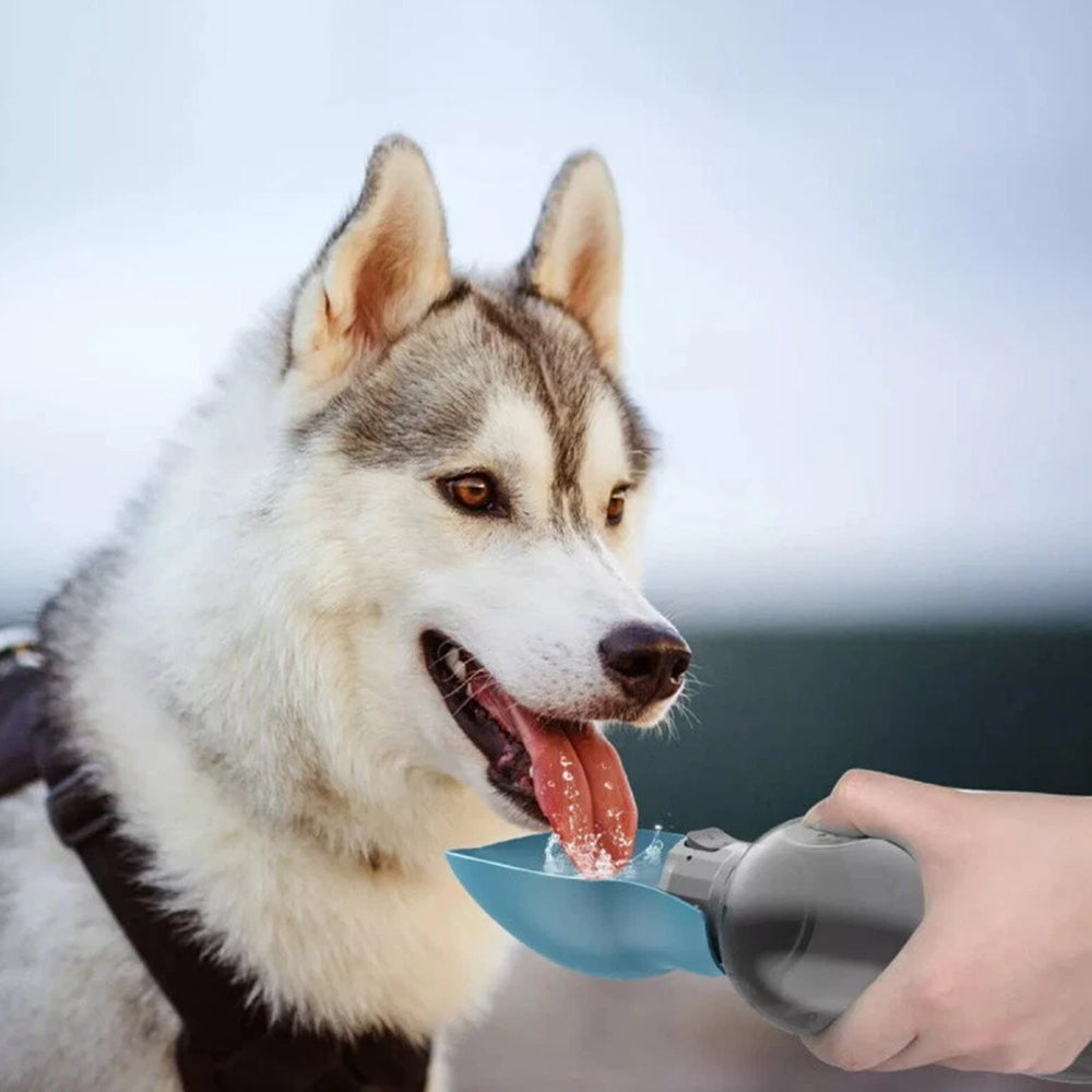 Portable Dog Water Bottle – Pet Outdoor Travel Hiking Walking Drinking Cup, 800ml - image 6