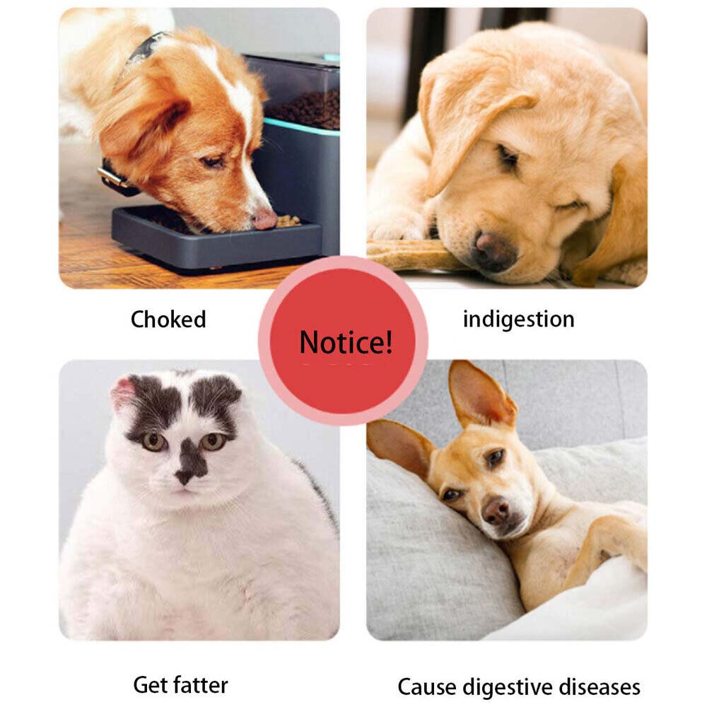 Healthy Dog Slow Eating Bowl Food Feeder Feed Large Bloat Stop Pet Cat Large - image 3