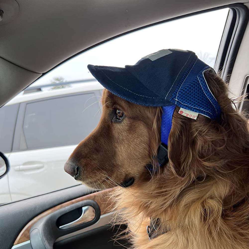 Dog Hat Pet Baseball Cap Puppy Cat Beach Outdoor Sport Visor Cap w/ Ear Holes - image 4