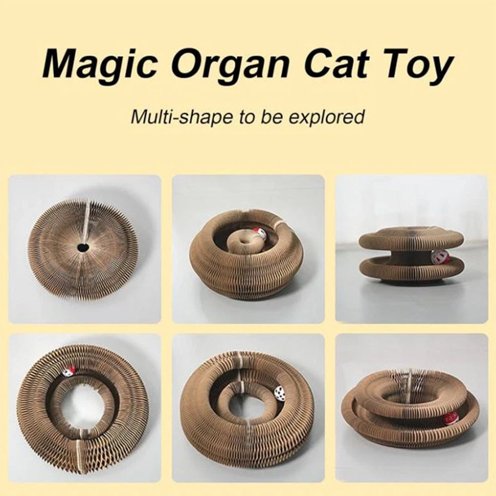 Transformable Cat Toy - Accordion Scratch Pad & Wear-Resistant Ball - image 2