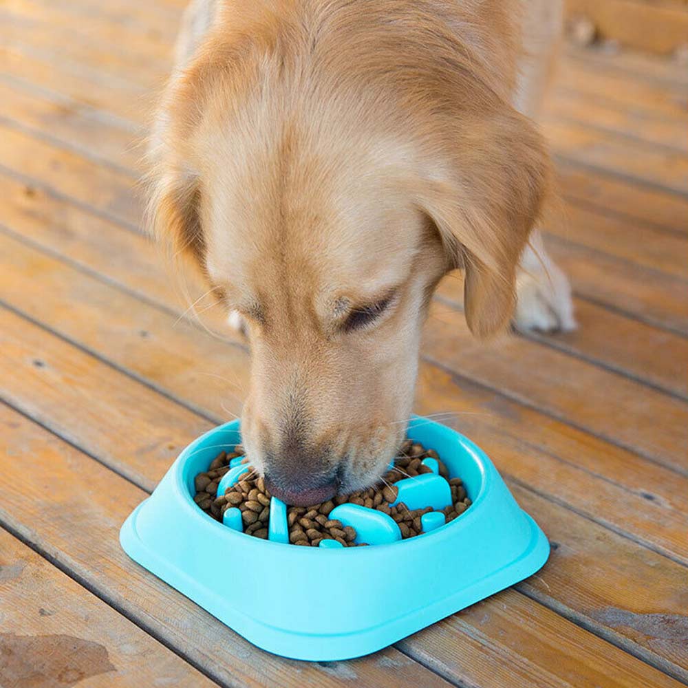 Healthy Dog Slow Eating Bowl Food Feeder Feed Large Bloat Stop Pet Cat Large - image 7