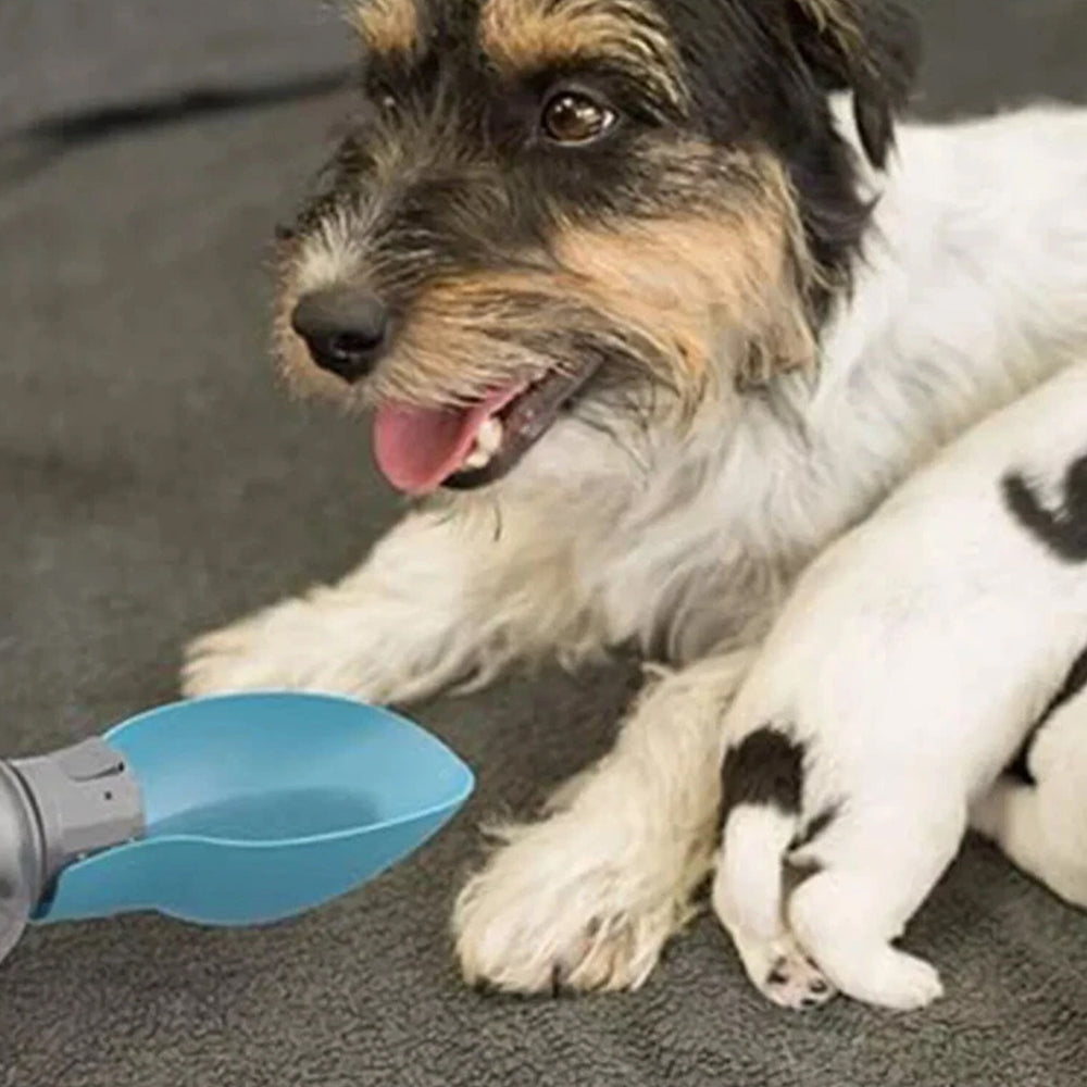 Portable Dog Water Bottle – Pet Outdoor Travel Hiking Walking Drinking Cup, 800ml - image 4