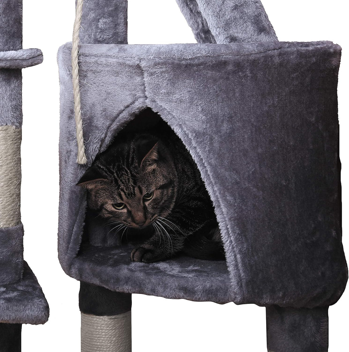 120cm Cat Tree for Indoor Cats with Condo, Hammock & Plush Perchfor for Kittens & Adult Cats-2050057516825579523