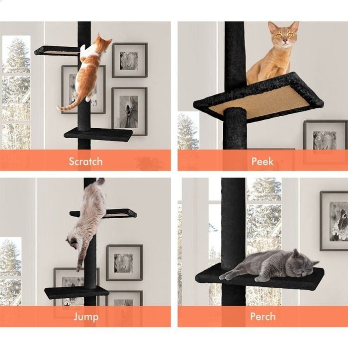 Floor to Ceiling Cat Tree Tower with Adjustable Height 230-286cm for Indoor Cats (Black)-2050057519186972676