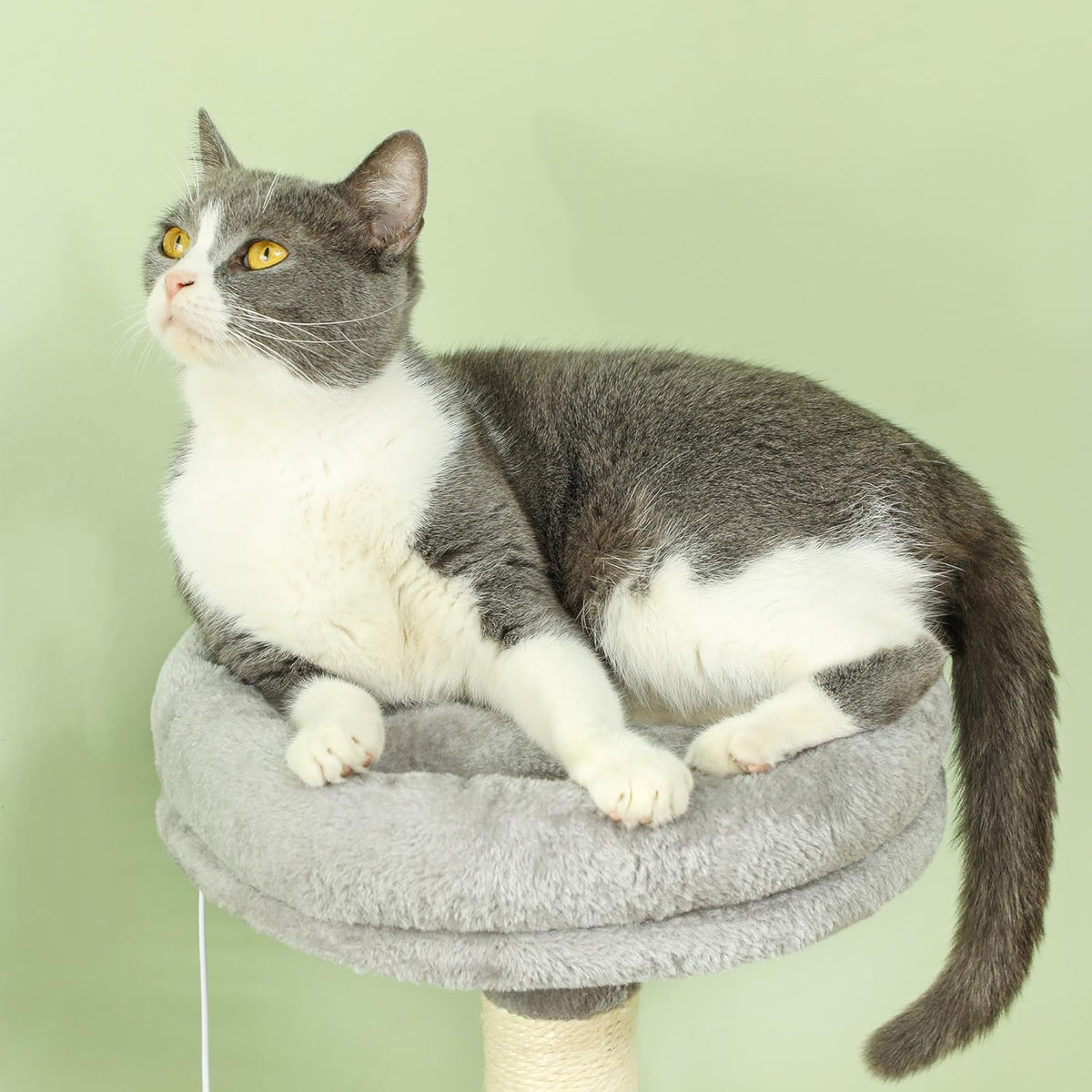 Large Cat Tree Tower for Indoor Cats with Plush Perch, Cat Condo, Natural Sisal Scratching Posts, Hanging Ball & Paw Scratcher-2050057520038416388