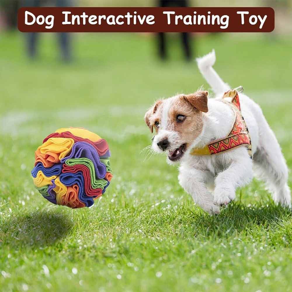 Pet Snuffle Ball Dog Toy Home Foraging Skill IQ Training Enrichment Multicolor - image 2
