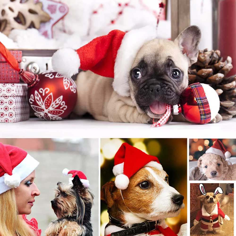 Christmas Santa Claus Pet Cat Dog Clothes Hat Costume Coat Decoration Xmas - image 4
