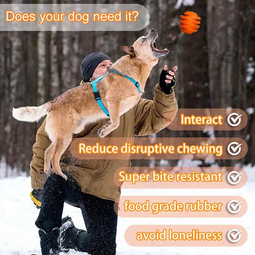 Durable Dog Chew Toy – Treat Dispenser & Interactive Pet Toy, Orange, 10cm - image 4