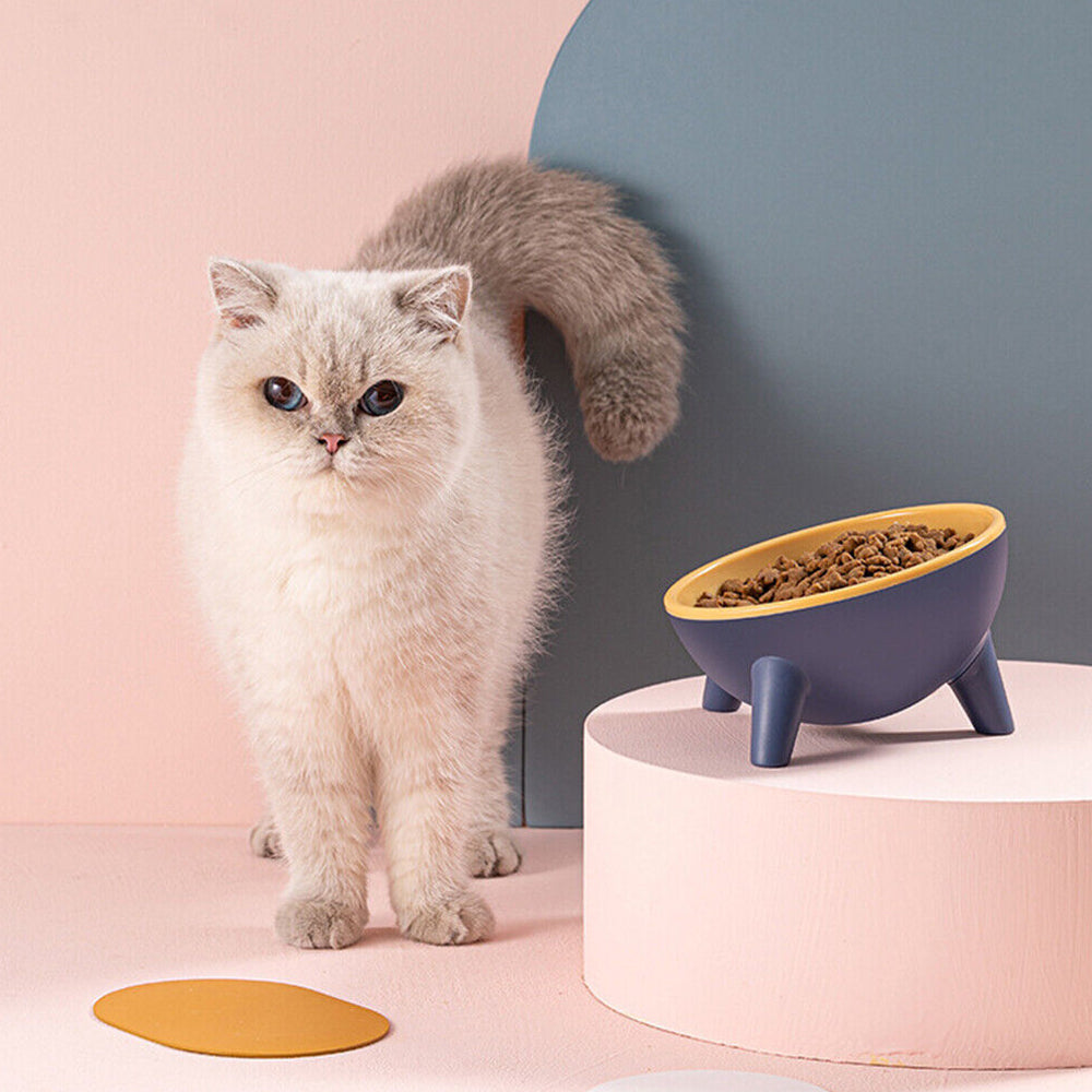 Feeder Raised Cat Bowl Pet Bowl Elevated Dog Bowls 15°Tilted Pet Water Bowl - image 3