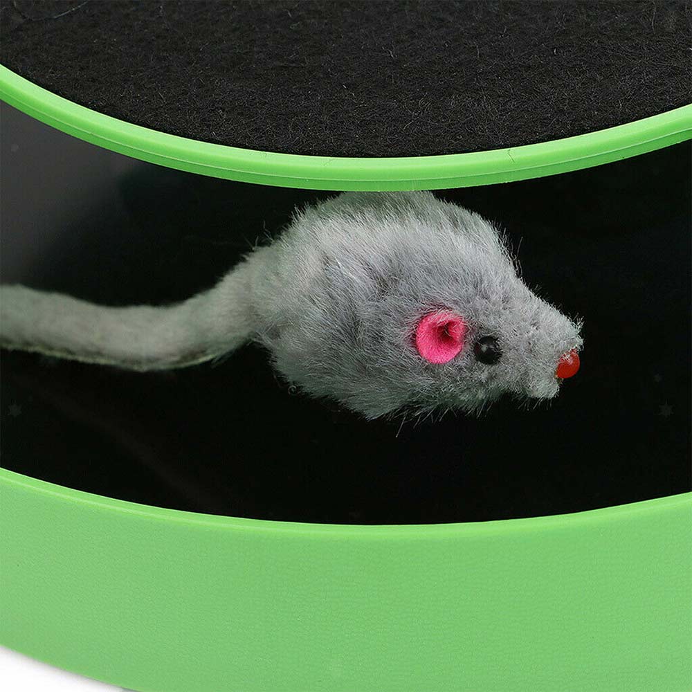 Motion Kitten Cat Toy Catch The Mouse Chase Interactive Cat Training Scratchpad - image 4