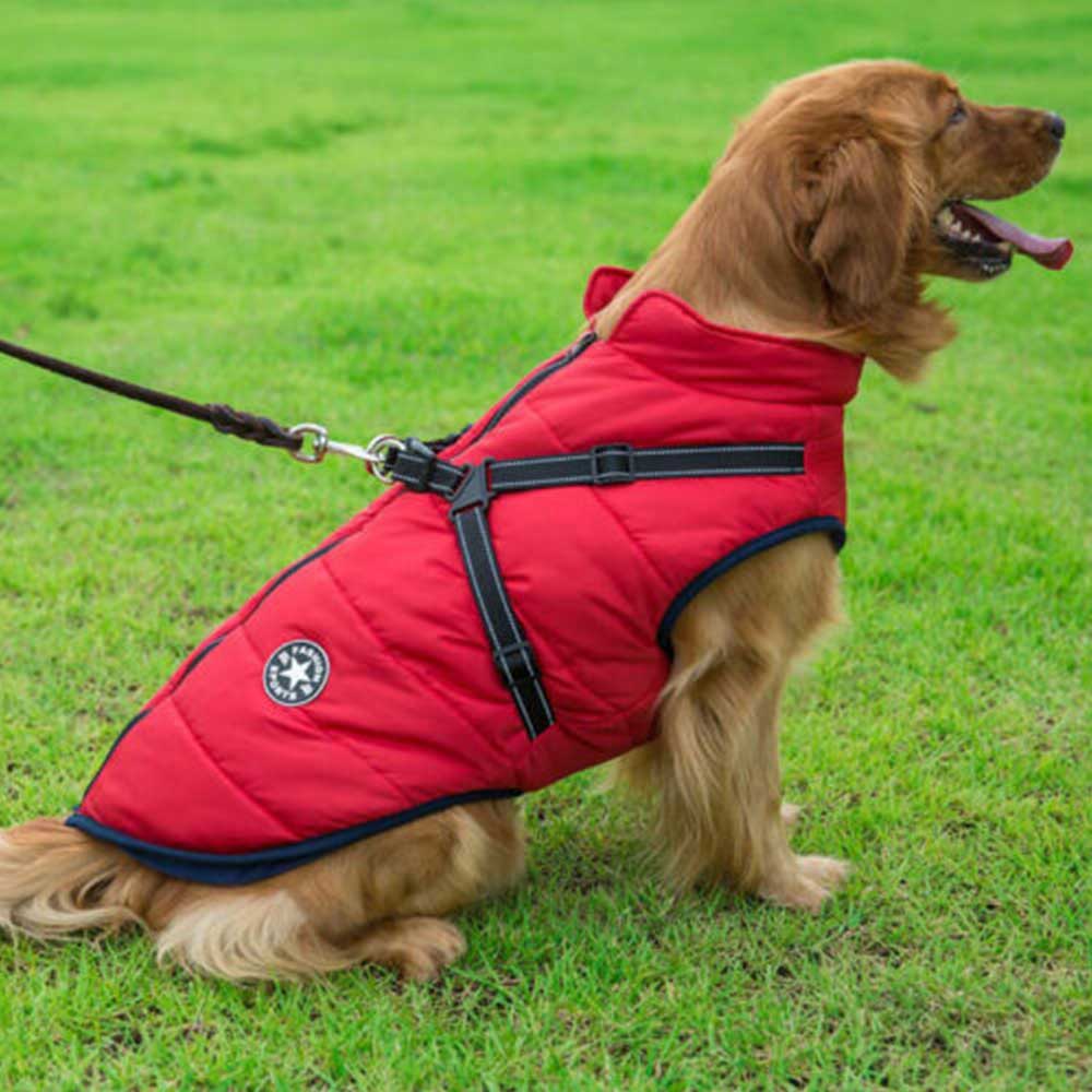 Winter Pet Dog Coat Pet Dog Jacket w/ Harness Waterproof Breathable Small Large - image 6