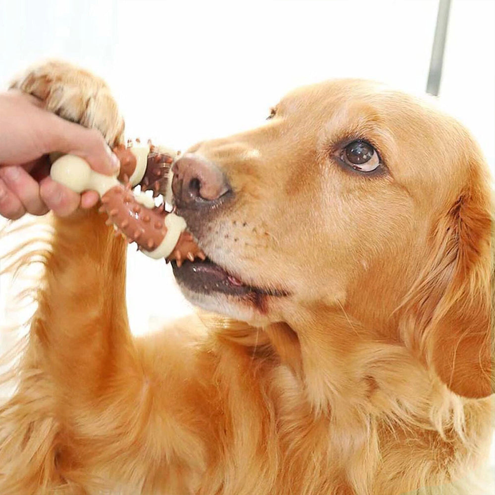 Durable Dog Chew Stick – Durable Bone Toy for Aggressive Chewers - image 2