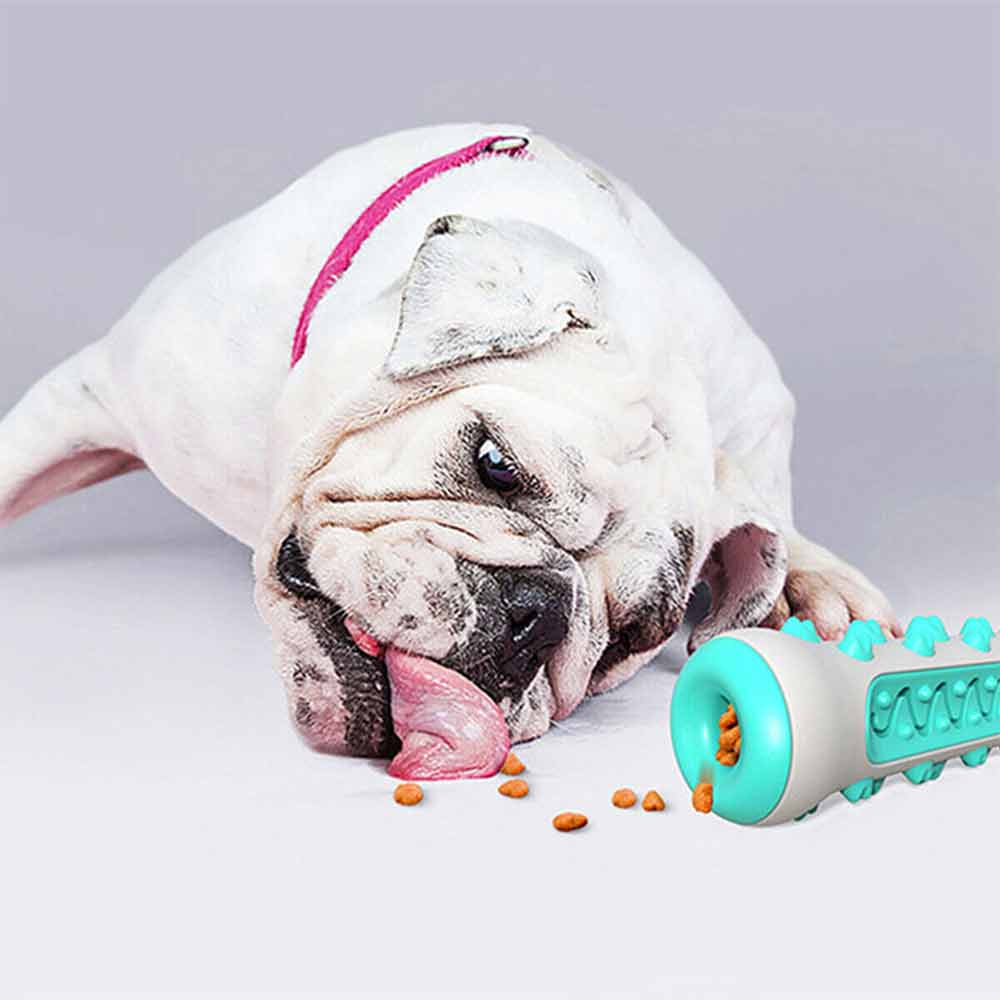 Teeth Cleaning Dog Chew Toy Tough Dog Puppy Toothbrush Rubber Chewers Toy Bone - image 4