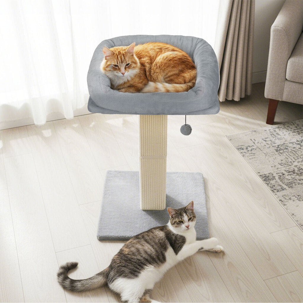 Cat Scratcher Big Perch Bed-2102558104825761798