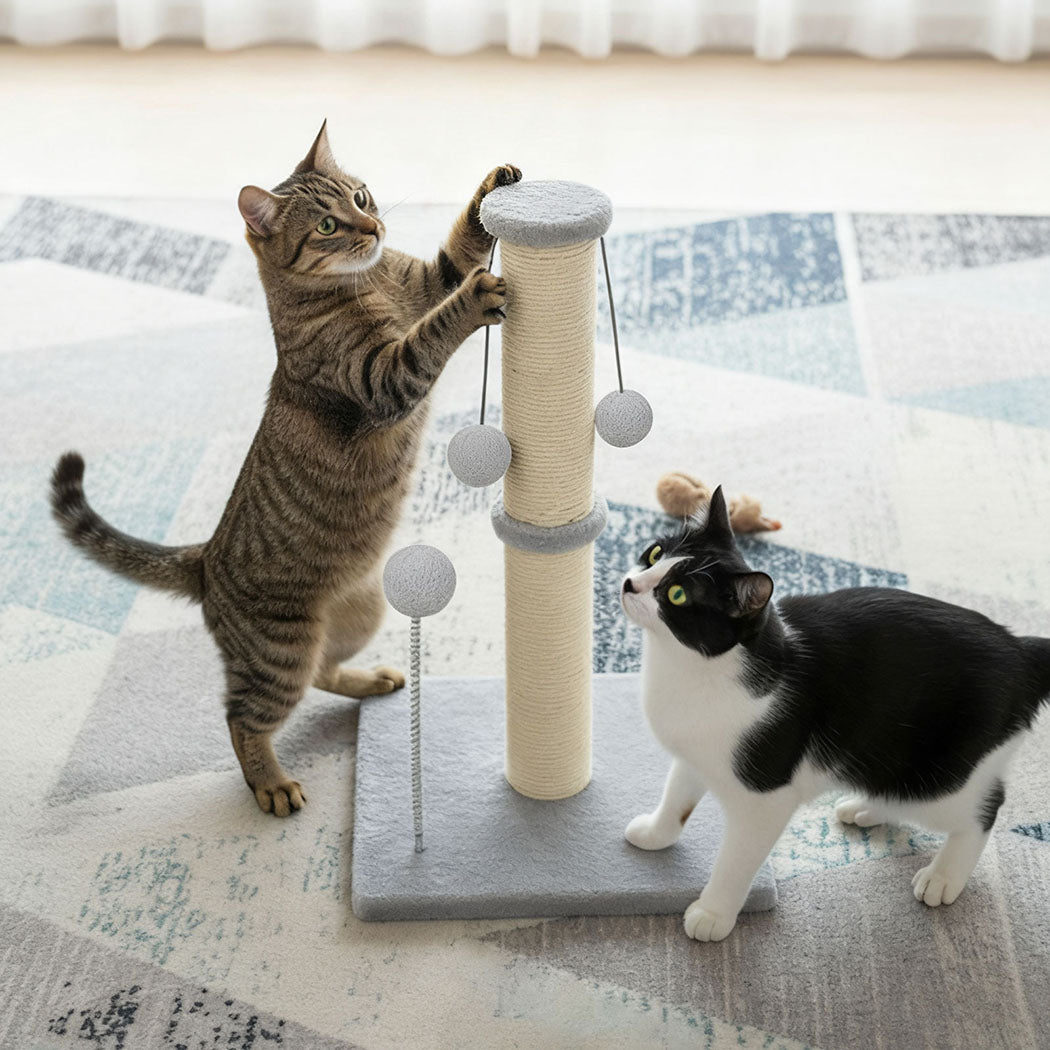 Cat Scratcher Tower Scratching Post-2102558102745387014