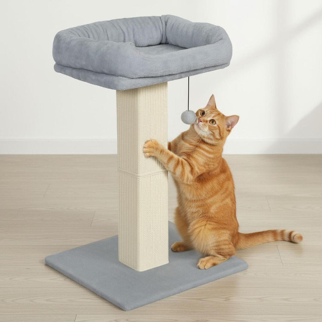 Cat Scratcher Big Perch Bed-2102558104825761799