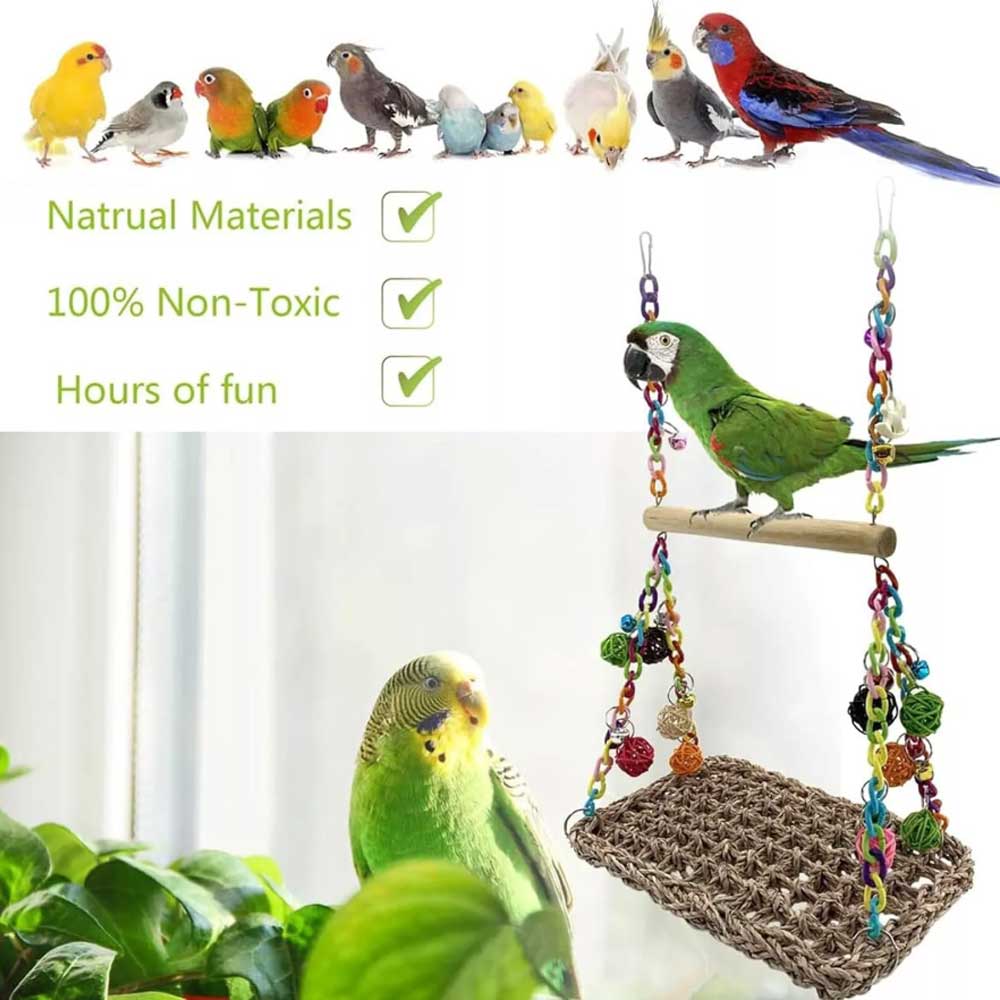 Parrot Hammock Swing Toy with Colourful Chain Double Swing for Bird Cage Play - image 6