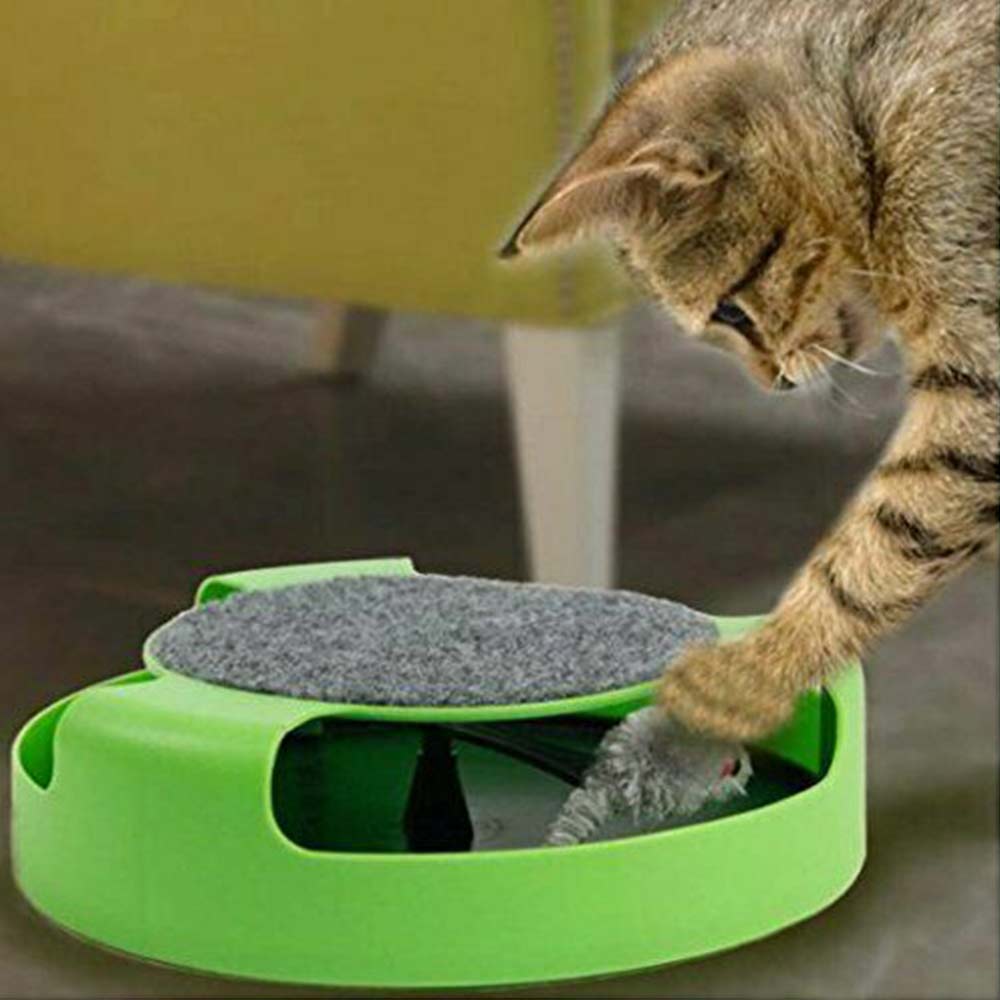 Motion Kitten Cat Toy Catch The Mouse Chase Interactive Cat Training Scratchpad - image 8