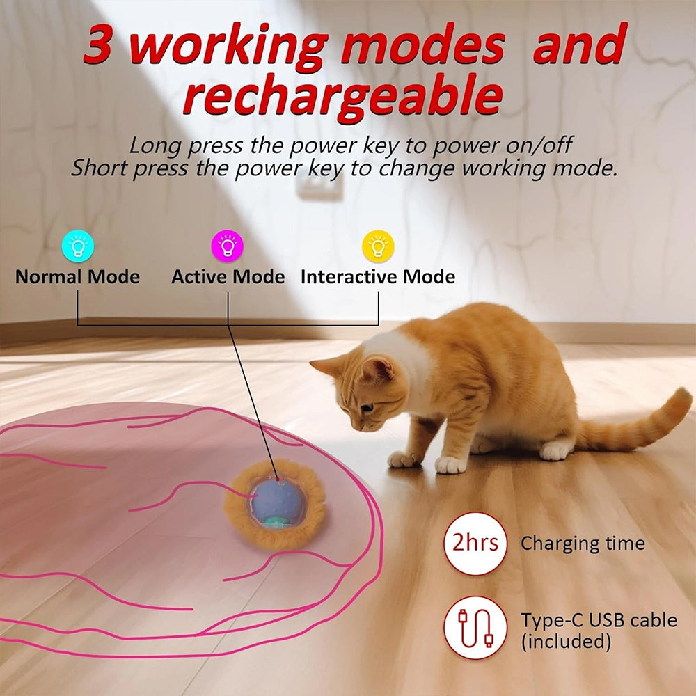 Interactive Chirping Hide-and-Seek Ball for Cats