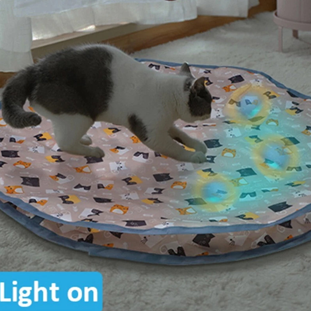 Interactive Chirping Hide-and-Seek Ball for Cats