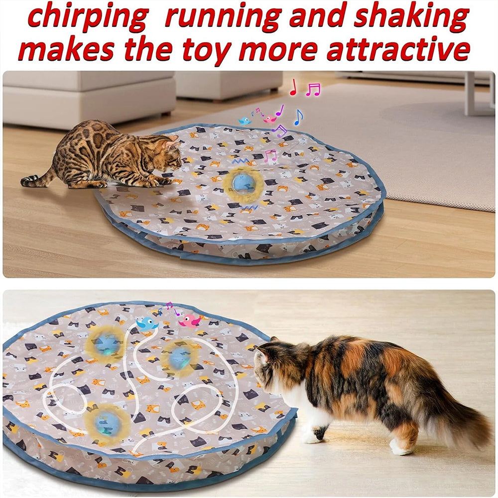 Interactive Chirping Hide-and-Seek Ball for Cats