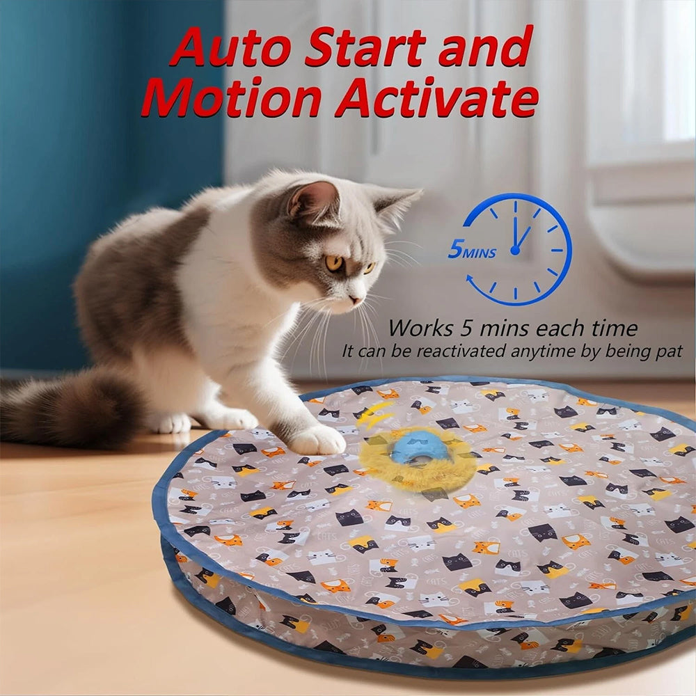 Interactive Chirping Hide-and-Seek Ball for Cats