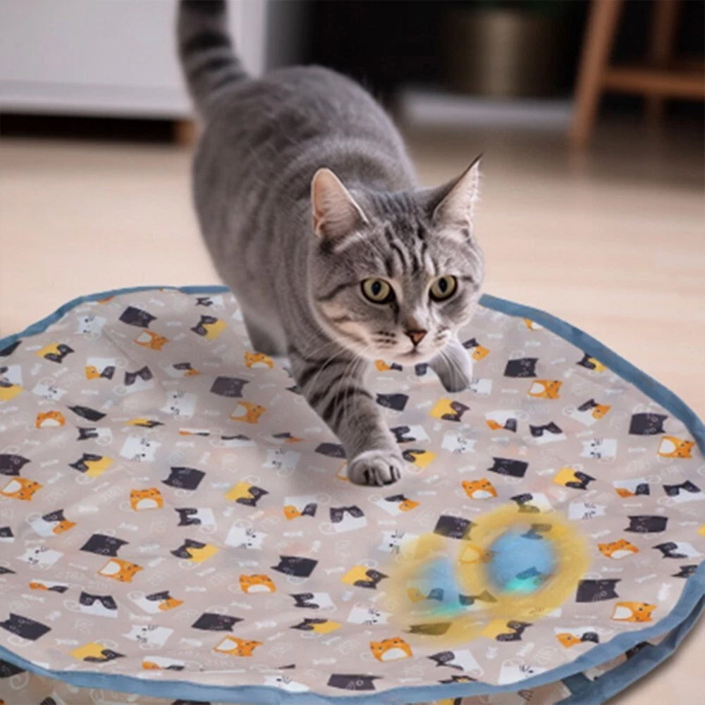 Interactive Chirping Hide-and-Seek Ball for Cats