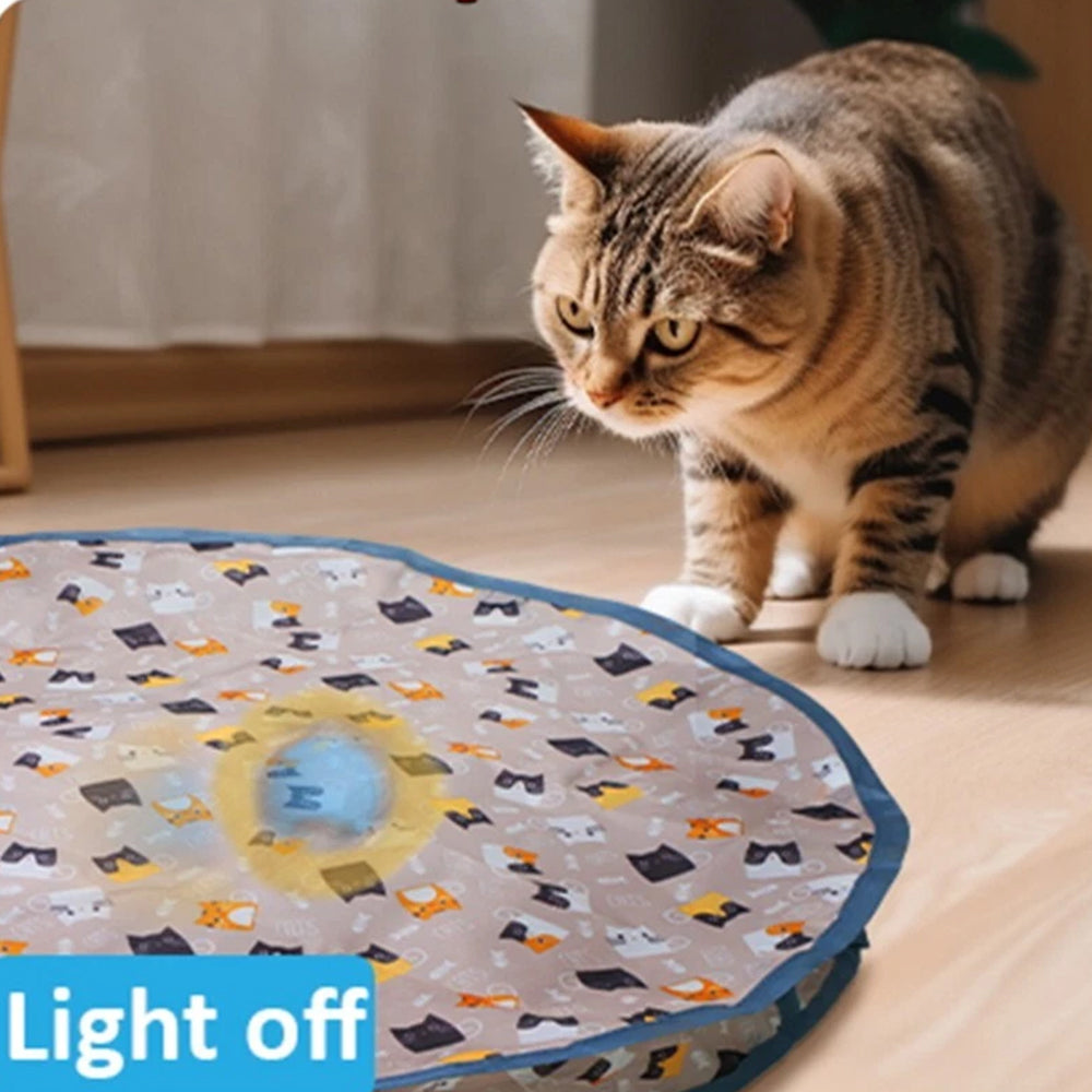 Interactive Chirping Hide-and-Seek Ball for Cats