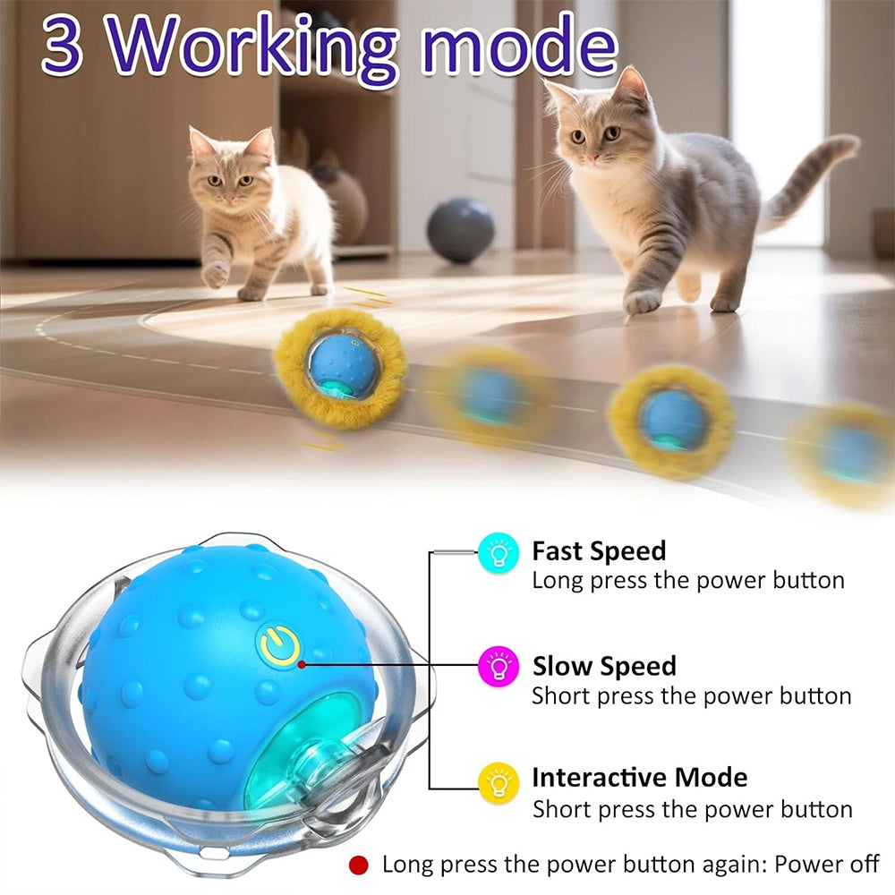 Interactive Chirping Hide-and-Seek Ball for Cats