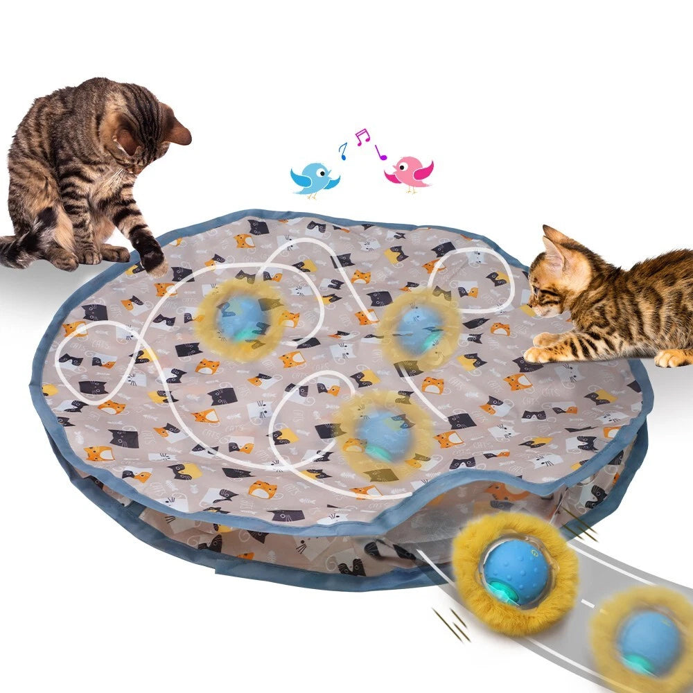 Interactive Chirping Hide-and-Seek Ball for Cats
