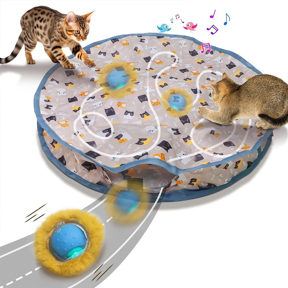 Interactive Chirping Hide-and-Seek Ball for Cats