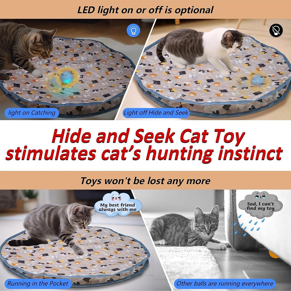 Interactive Chirping Hide-and-Seek Ball for Cats