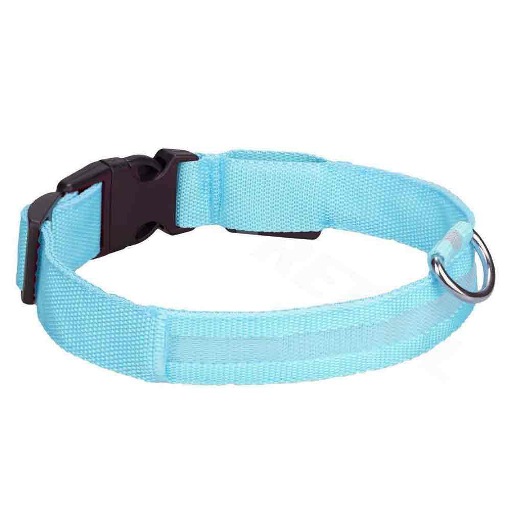 USB Rechargeable LED Safety Dog Collar – Medium