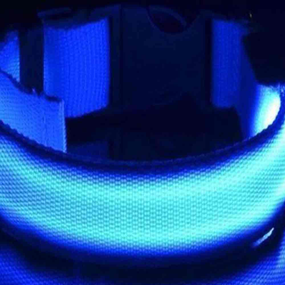 USB Rechargeable LED Safety Dog Collar – Medium