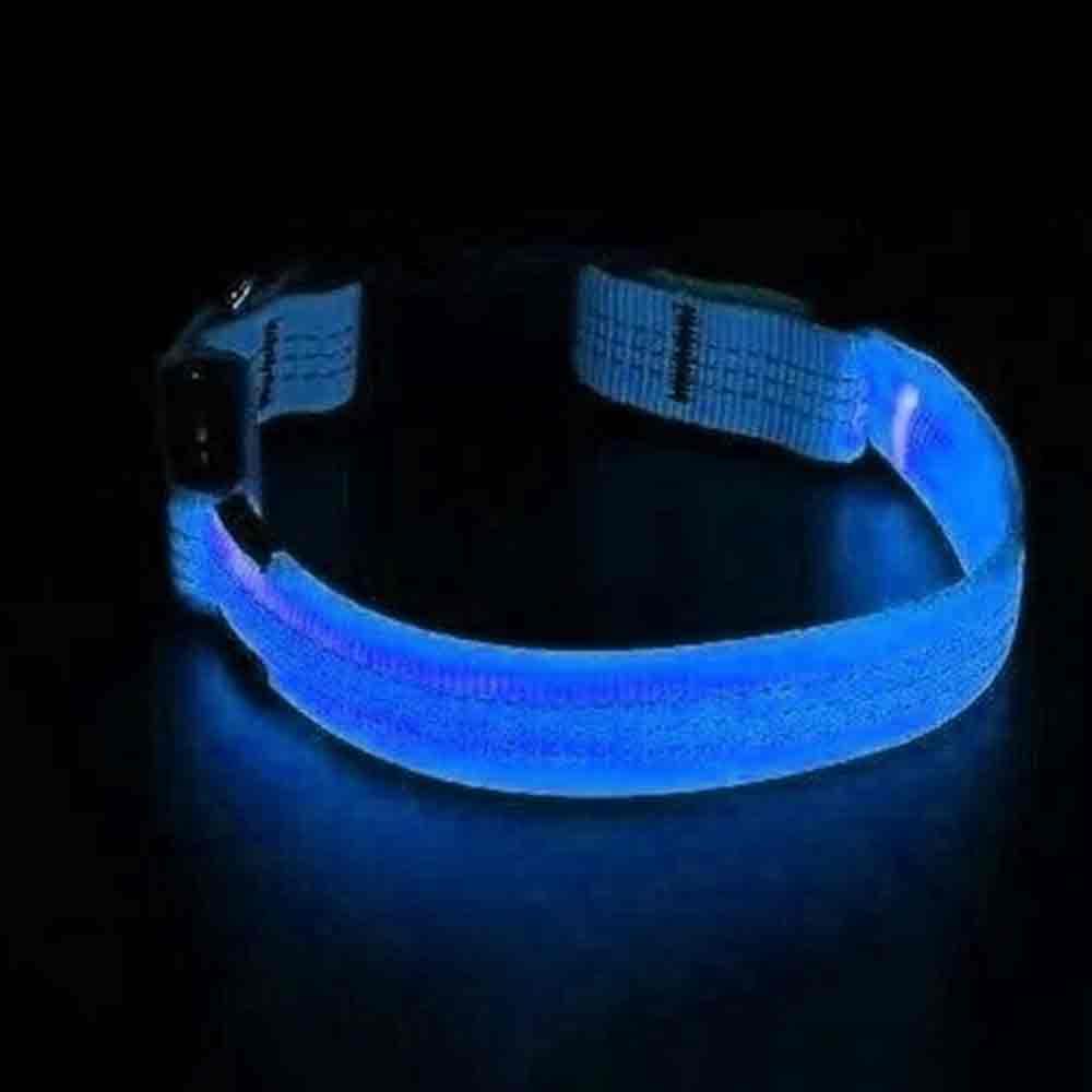 USB Rechargeable LED Safety Dog Collar – Medium