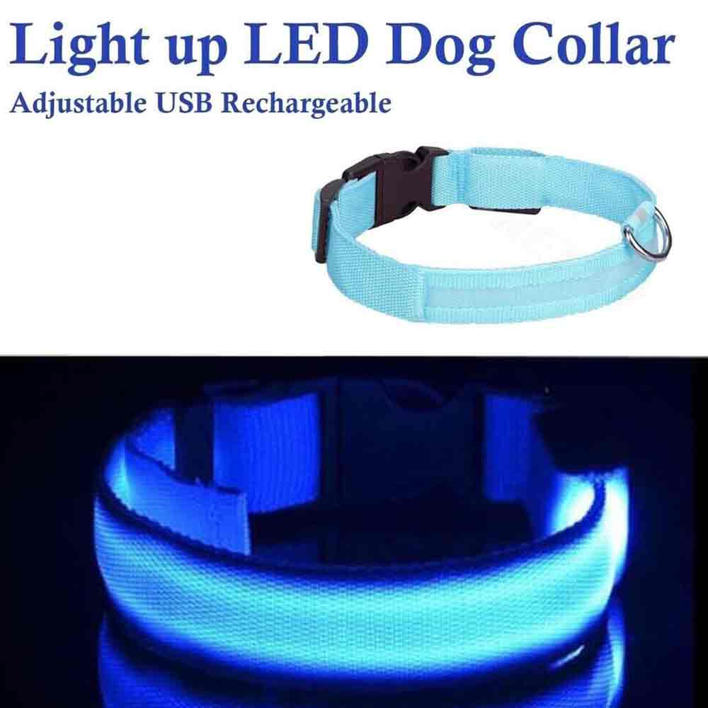 USB Rechargeable LED Safety Dog Collar – Medium