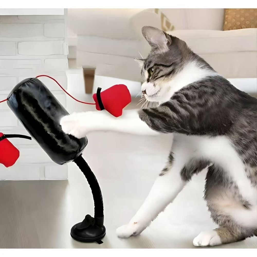Interactive Spring Punching Toy for Cats