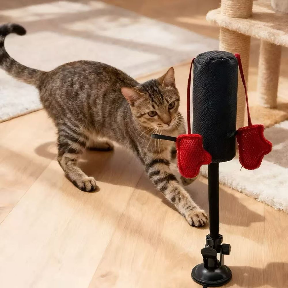Interactive Spring Punching Toy for Cats