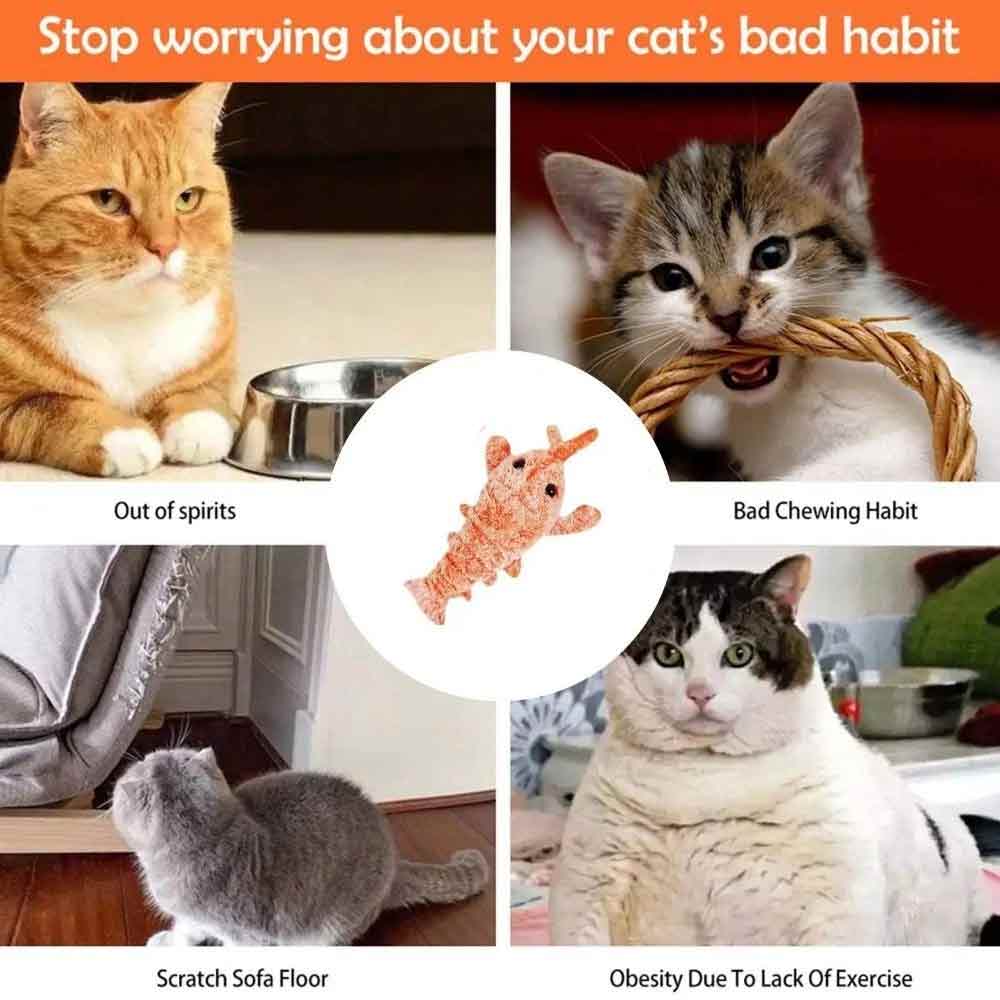 Rechargeable Moving Interactive Toy for Cats & Dogs