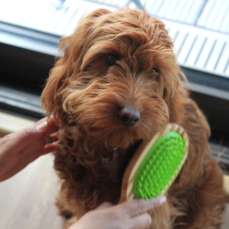 Double Sided Bamboo Dog Brush with Silicone Massager for Dog Grooming - image 6