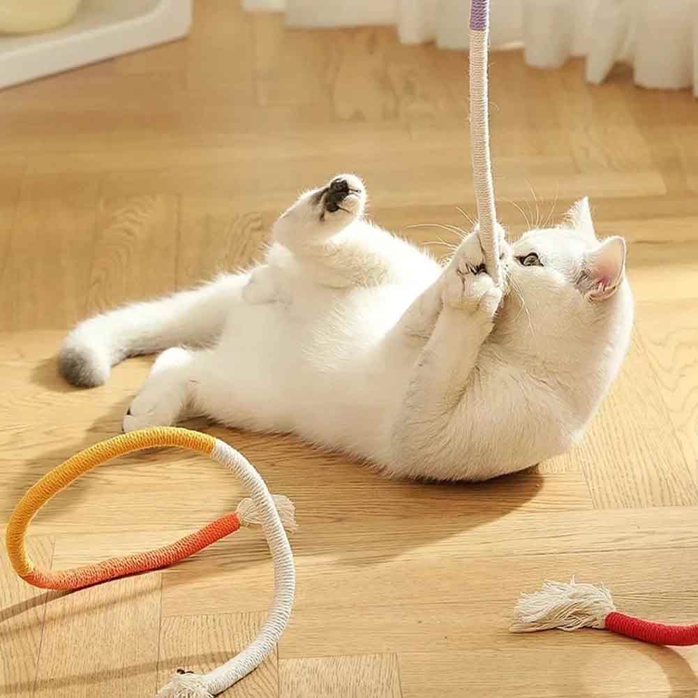 Catnip Rope Plush Cat Chew Toy – Teeth Cleaning Interactive Kitten Teething Play - image 2