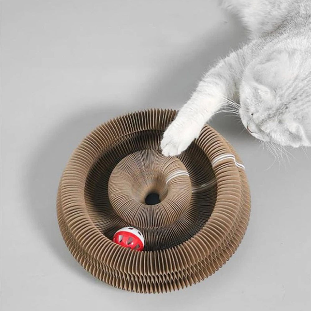 Transformable Cat Toy - Accordion Scratch Pad & Wear-Resistant Ball - image 3