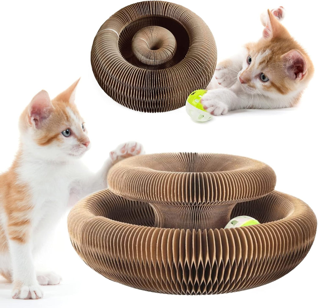 Magic Organ Cat Scratching Board – Foldable Corrugated Cardboard Scratcher with Toy Ball & Catnip - image 1