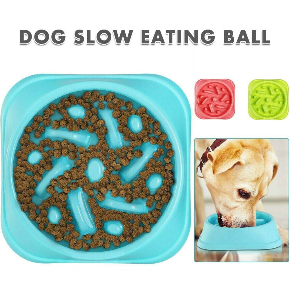 Healthy Dog Slow Eating Bowl Food Feeder Feed Large Bloat Stop Pet Cat Large - image 5