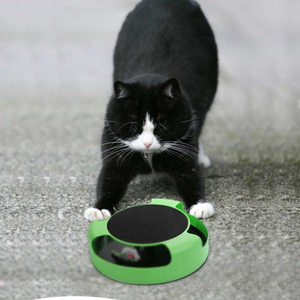 Motion Kitten Cat Toy Catch The Mouse Chase Interactive Cat Training Scratchpad - image 3