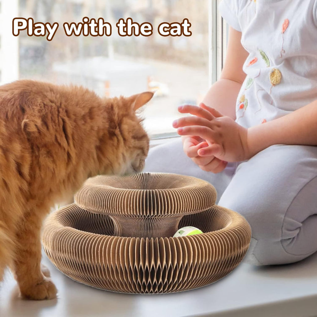 Magic Organ Cat Scratching Board – Foldable Corrugated Cardboard Scratcher with Toy Ball & Catnip - image 7