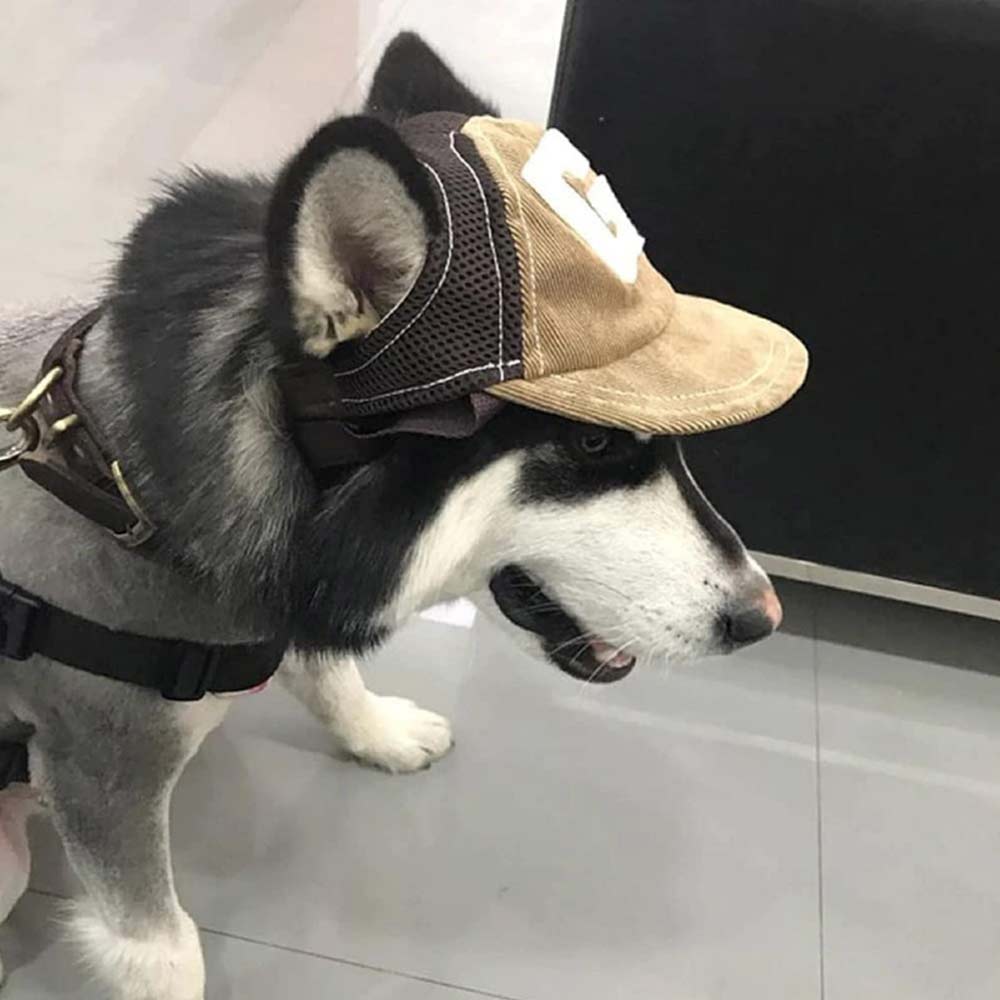 Dog Hat Pet Baseball Cap Puppy Cat Beach Outdoor Sport Visor Cap w/ Ear Holes - image 7