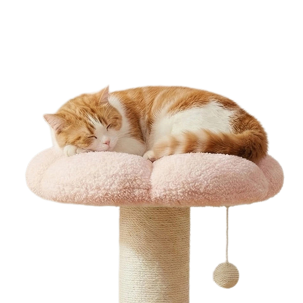 Cat Scratching Post Flower 61.5cm Cat Tree Tower-2102558640274804741