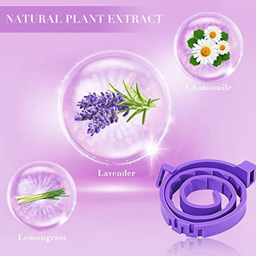3-Pack Lavender Calming Collars for Cats – Adjustable 38cm